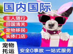 上海虹桥机场物流国际宠物托运 【国